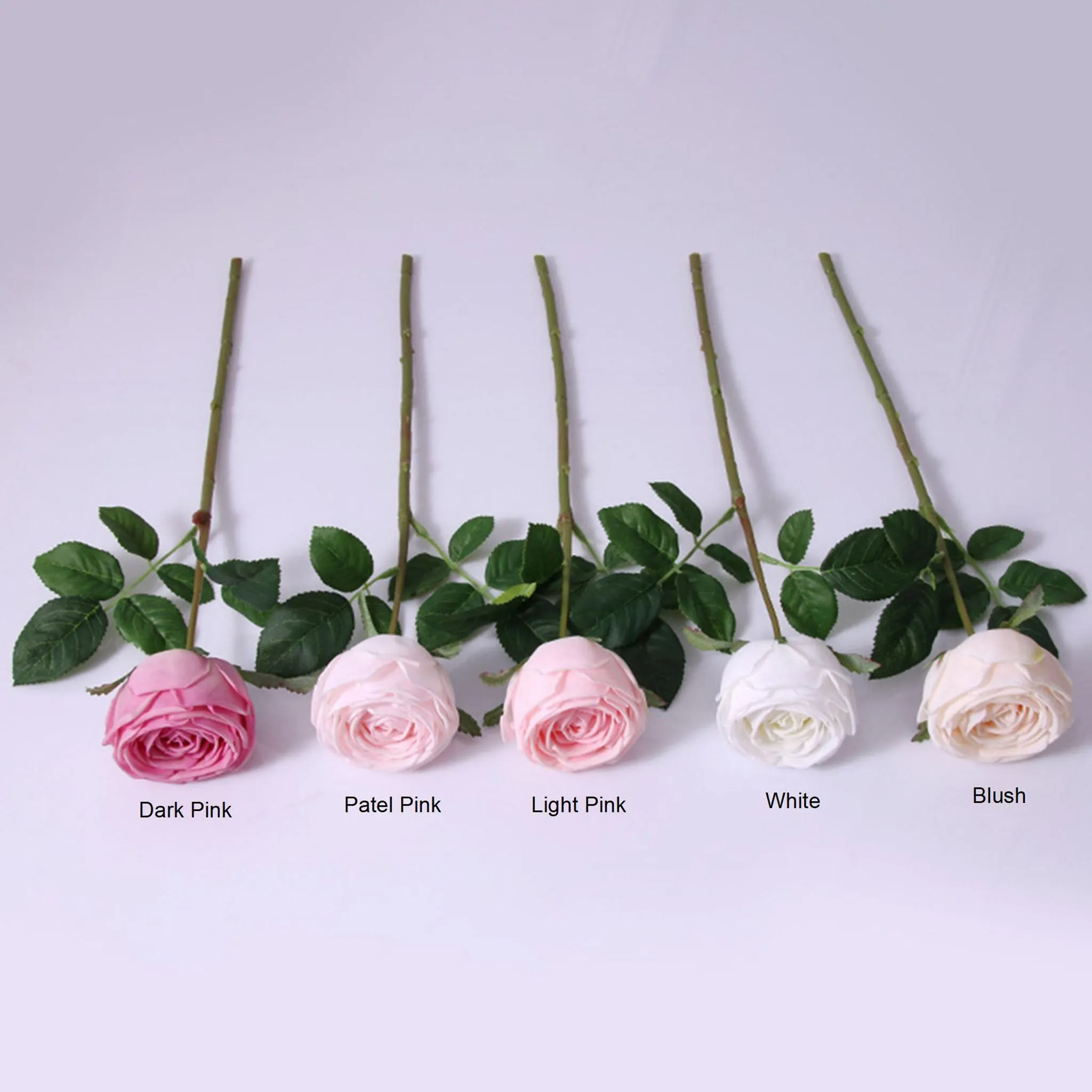 Realistic Artificial English Cabbage Rose 17 inch Tall