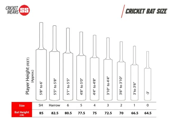 SS Super Power Kashmir Willow Cricket Bat | KIBI Sports